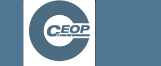 Has someone done something online that has made you or a child or young person you know, feel worried or unsafe?  Make a report to one of CEOP's experienced Child Protection Advisors.